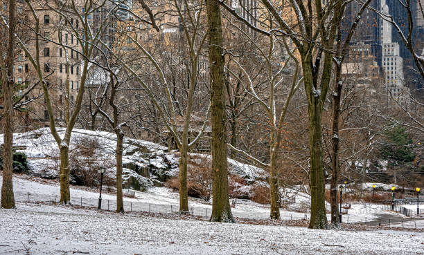 Central Park in winter during light snowstorm