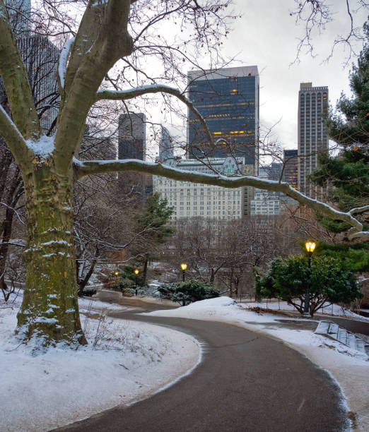 istock Central Park in winter , snowing early 2201807504