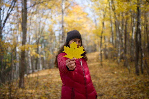 A young Canadian female stands in the autumn woods, holding a yellow maple leaf in front of her, surrounded by vibrant fall colours - a symbol of Canada’s national pride and identity