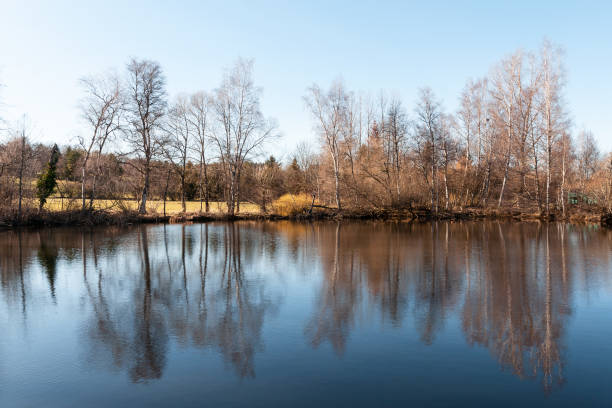 Lake in Black Forest in Germany (Bad-Dürrheim)