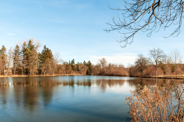 istock Lake in Black Forest in Germany 2201812993