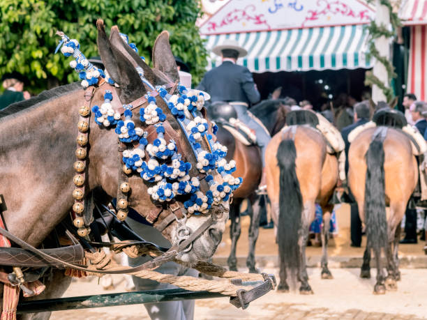 istock Elegant Horses Adorned for Seville April Fair Celebration 2201814372