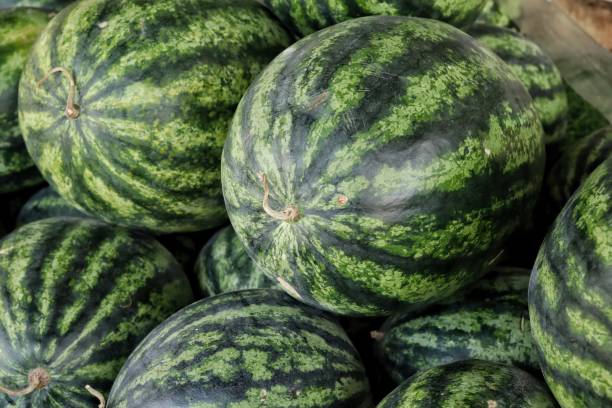 istock Fresh watermelon summer tropical fruit 2201818288