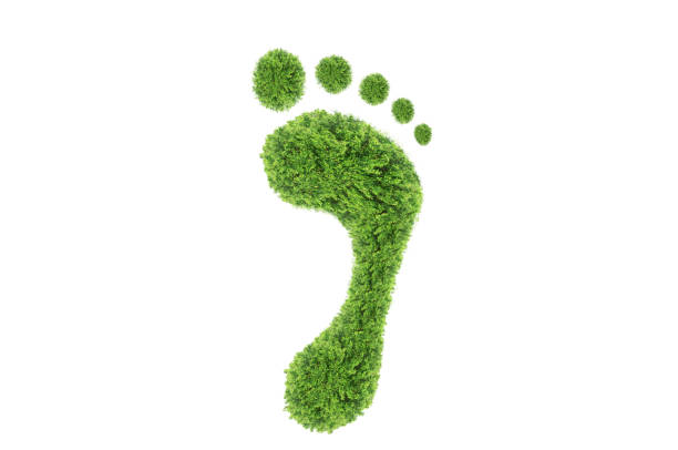 istock green leaf growing footprints, co2 symbol isolated on White Background. Reduce CO2 emission concept.Clean and friendly environment without carbon dioxide emissions.With clipping path. 2201822939