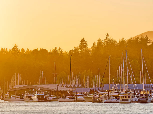 View of Stanley Park and boat marina seen from the Coal Harbor public walkway in Vancouver at sunset, British Columbia