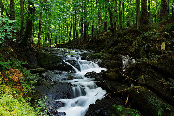 istock The Szepid Waterfall in Poland 2201835055