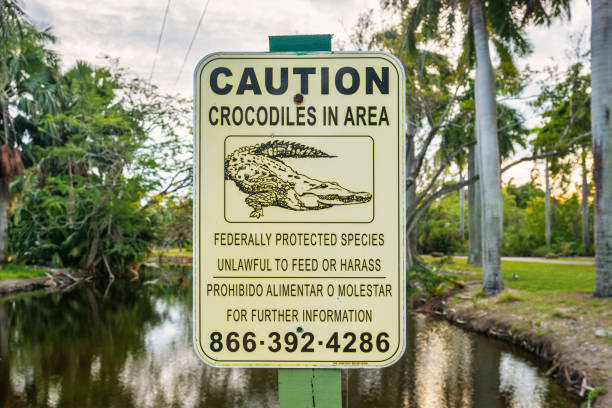 Caution Crocodile Sign in Crandon Park, Miami, Florida, USA on a cloudy day.