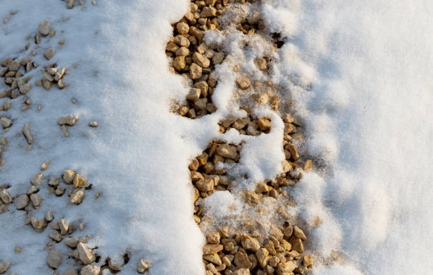 istock A snow covered gravel path with a shadow of a person 2201841848