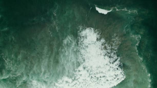 istock The drone is flying over the sea 2201846765