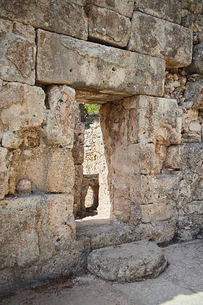 Olive tree partially covers a small wooden door embedded in a medieval stone wall in Peñíscola, Spain, creating a picturesque scene of history and nature