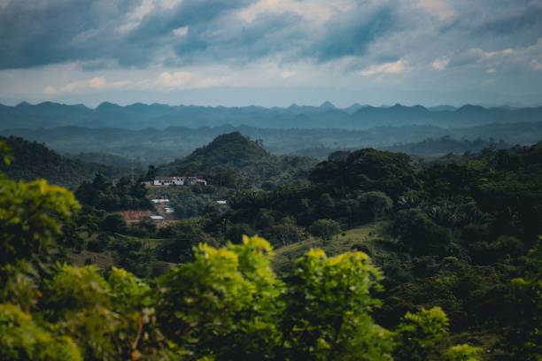 istock Lush Jungle Landscape in Guatemala with Rolling Hills 2201851225