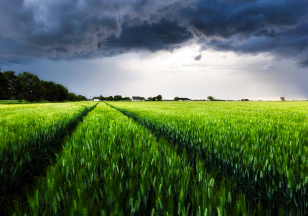 istock Dark rain cloud with storm over a green field with path 2201853223