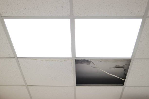 istock Broken suspended ceiling tiles revealing electrical wiring and insulation.mildew.brown stain, office buildin 2201855735