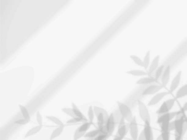 istock Simple background with shadows of plant leaves on the wall 2201858153