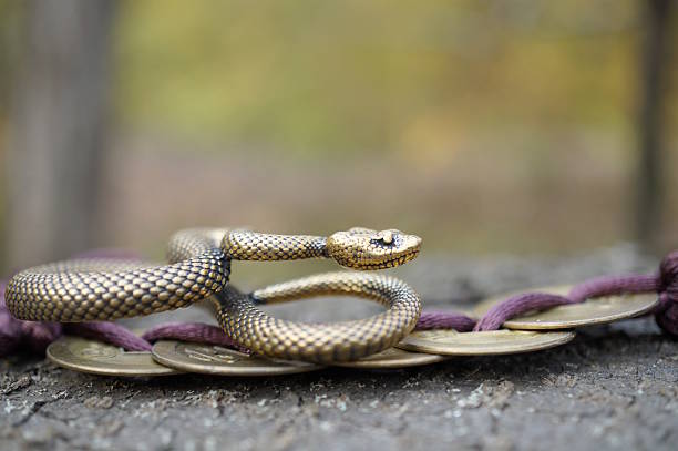istock A snake figurine with Chinese coins. 2201860134