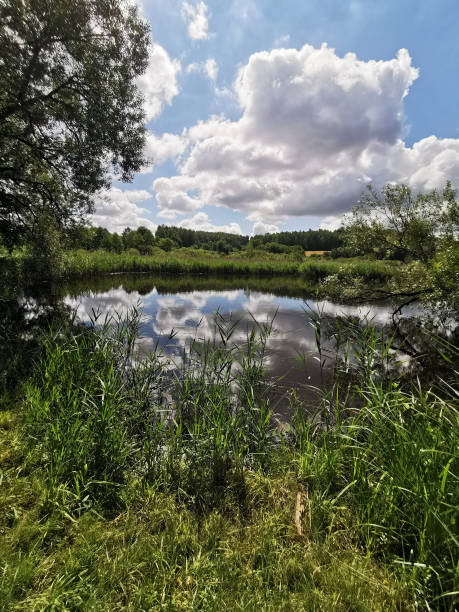 istock vidnava old loucky lake 2201860382