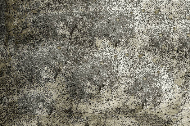 istock Grunge rough wall in a gray-brown tone 2201862626