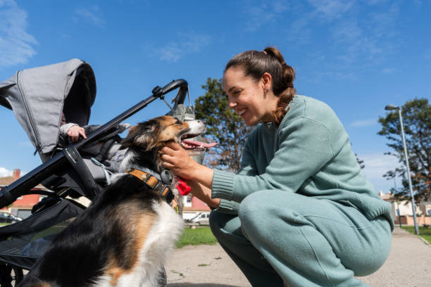 istock Mother petting her dog while strolling with baby in carriage 2201869453