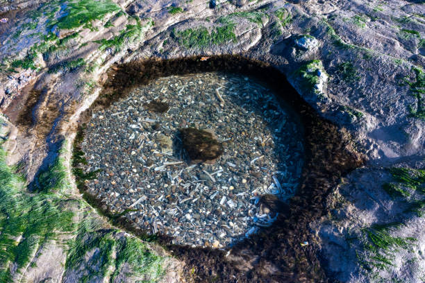 Tidal pool with seaweed Cape Woolamai Philip Island