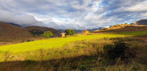 Beautiful landscape in Anja Community Reserve before sun set. Madagascar