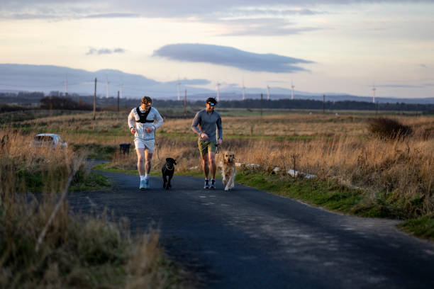 istock Friends and their Dogs Running at Sunset 2201876479