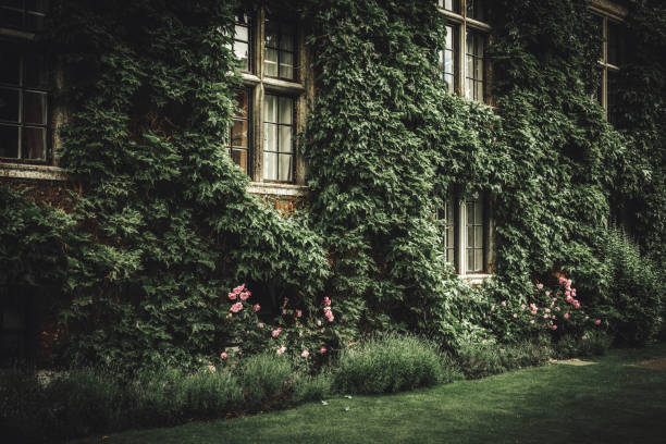 Cambridge is a city and non-metropolitan district in the county of Cambridgeshire, England.\nThe city is well known as the home of the University of Cambridge, which was founded in 1209 and consistently ranks among the best universities in the world.