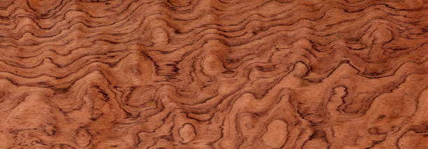 Oak wood textured design background. Wooden background. Wood texture with natural pattern. Rustic wood texture. Real natural wood texture and surface background