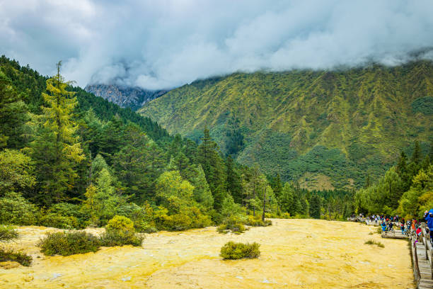 Within the Huanglong Scenic Area, lush green forests are shrouded in mist, with rolling mountains resembling a fairyland, showcasing the grandeur and tranquility of natur