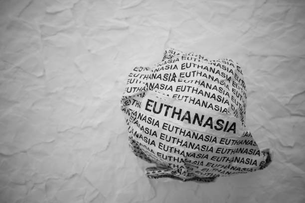 istock Crumpled piece of paper with words Euthanasia on torn white paper pieces background. 2201888485