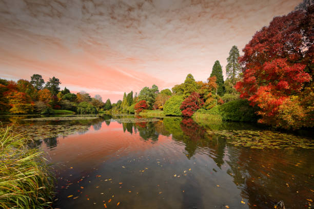 istock An English Autumn 2201889245