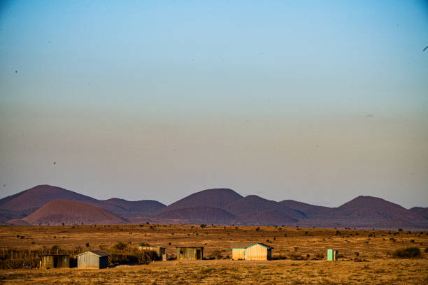 Vast countryside scene near Cape Town featuring a dispersed settlement, sparse trees, rolling hills, and wildflowers in the foreground. The blue sky and distant mountains convey openness, serenity, and the rustic charm of South Africaâs Western Cape region.