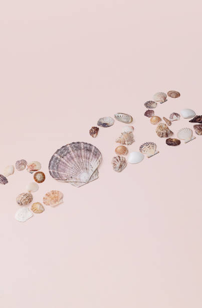 istock New Year 2026 Number Made from Seashells. Tropical Holiday Concept. 2201890017