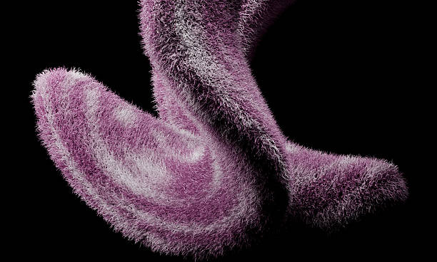 Abstract Organic Sculpture with Soft Purple and White Fur Texture on Deep Black Background