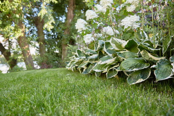 luscious designer horticulture garden in sunny afternoon
