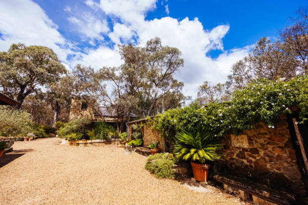 istock Panton Hill Winery in Melbourne Australia 2201895675