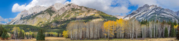 istock Autumn landscape in Canada with golden aspens. 2201898851