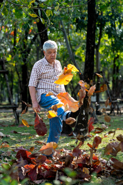 istock Elderly Man Playing with Autumn Leaves in the Park 2201899318