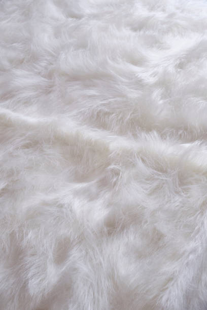 istock Fur coverlet and a fur decorative. 2201900463