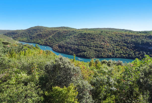 istock Impression of Istria 2201900496
