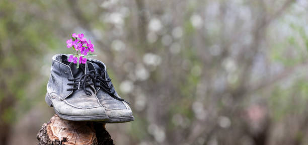 Worn garden shoes in the garden