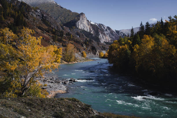 istock The fast-flowing mountain river Katun in the Altai Republic, rushing through the rugged landscape. 2201907676