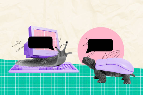 Wacky Computer Mouse Shells 110+ Unusual Mouse Stock Photos, Pictures & Royalty-Free Images - iStock