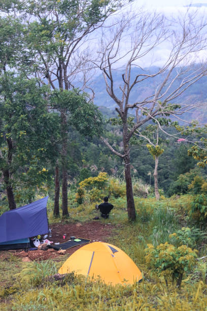 istock Person Sitting in Serene Mountain Landscape 2201908483