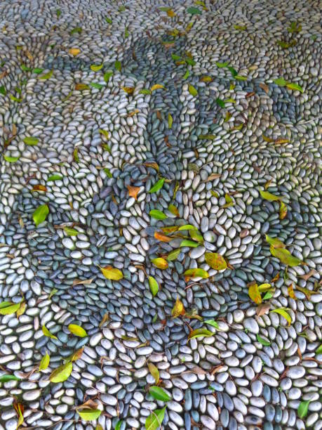 istock Anchor, pavement with pebbles, Spetses island, Greece 2201909124