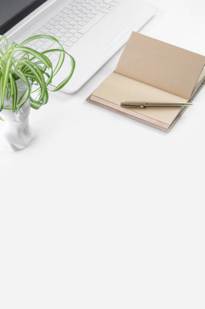 istock A simple composition featuring a white laptop, an open notebook with a pen, and a spider plant in a unique white pot. 2201910155