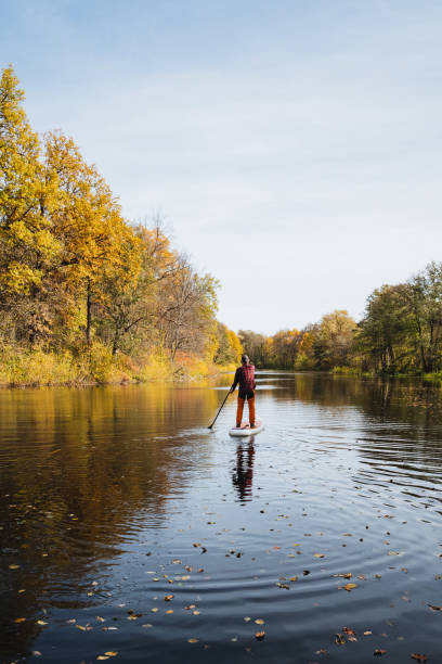 istock A person is skillfully riding a paddle board on a calm river, enjoying the natural beauty surrounding them. The scene is enhanced by the clear sky and lush trees along the banks 2201910485