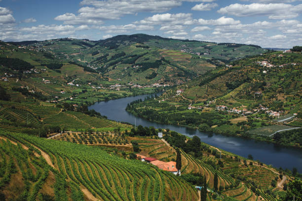istock A panoramic view of the Douro Valley with lush greenery, terraced vineyards, and a winding river. 2201914189