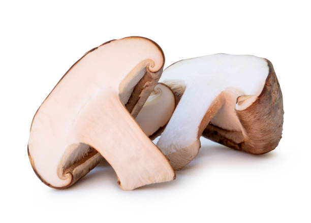 istock Front view of shiitake mushroom in halves isolated on white background with clipping path 2201914963