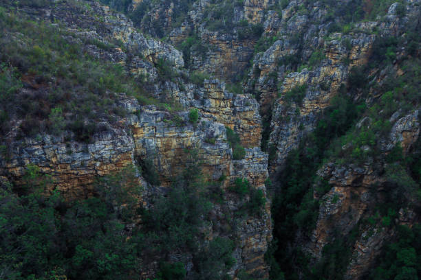 In South Africa, the stunning canyon features steep cliffs surrounded by vibrant greenery as the sun sets, creating a breathtaking view.