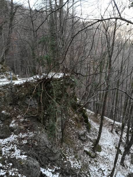 istock View from the woods, val Cavargna, province of Como 2201923739